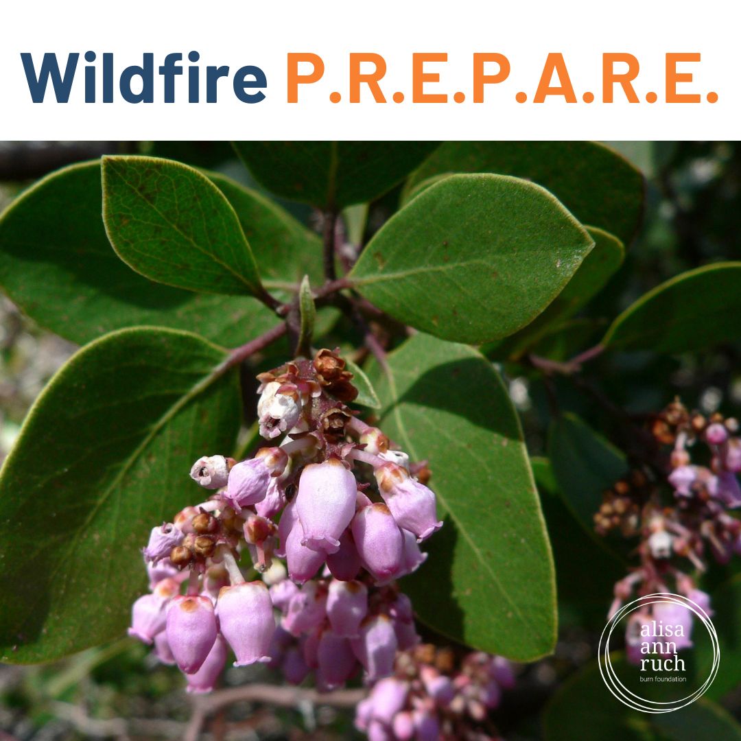 Prepare Your Home Against Wildfires